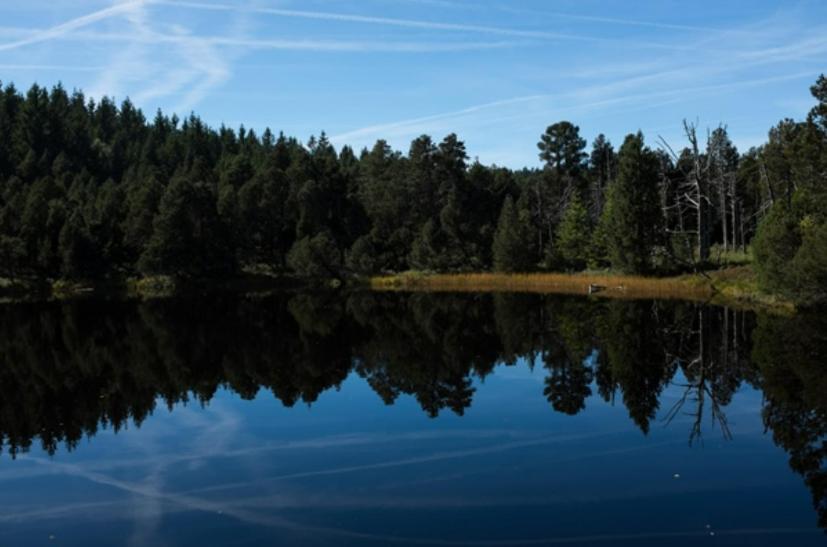 Living Timeless- Black Forest Style- Schoenwald Esterno foto