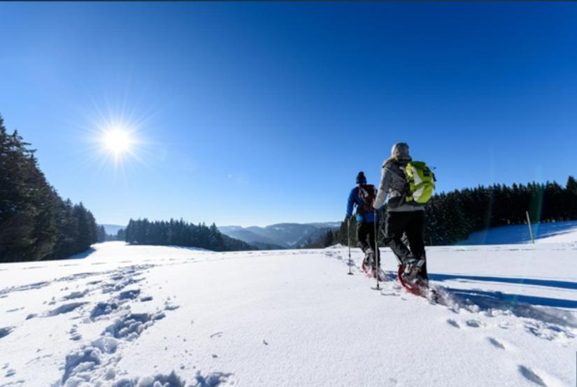 Living Timeless- Black Forest Style- Schoenwald Esterno foto