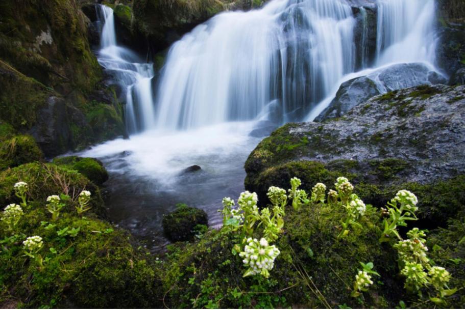 Living Timeless- Black Forest Style- Schoenwald Esterno foto
