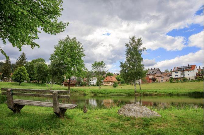 Living Timeless- Black Forest Style- Schoenwald Esterno foto