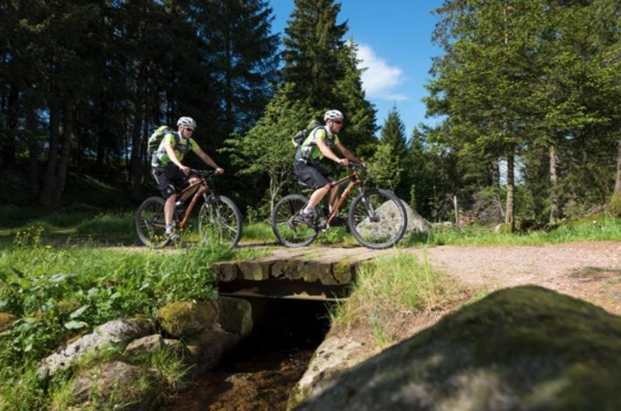 Living Timeless- Black Forest Style- Schoenwald Esterno foto